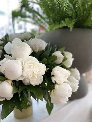 image (6).jpg