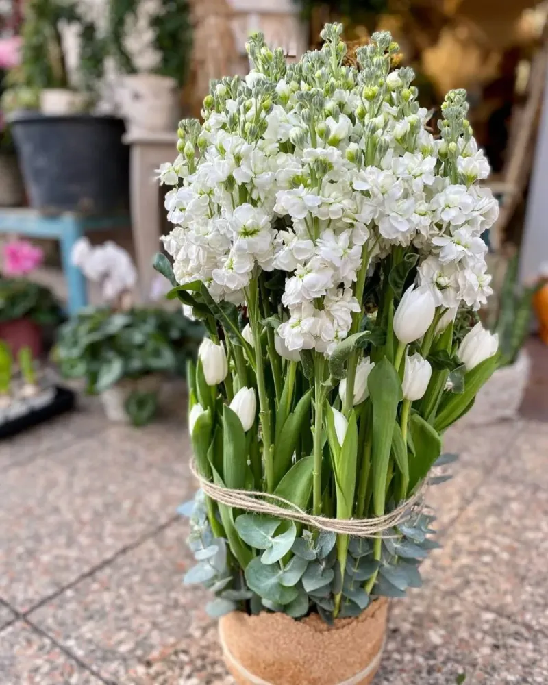 fleur-artisanale-nom-de-la-fleur-juan-les-pins.jpg