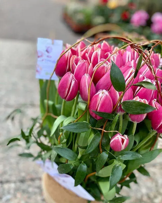 Dôme de fleurs
