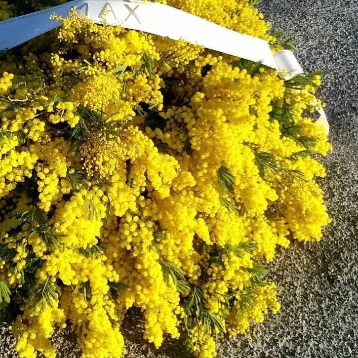 Composition florale jaune