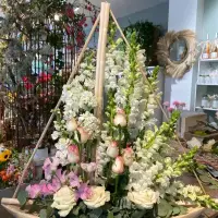 pieces speciales magnolia antibes deuil 1