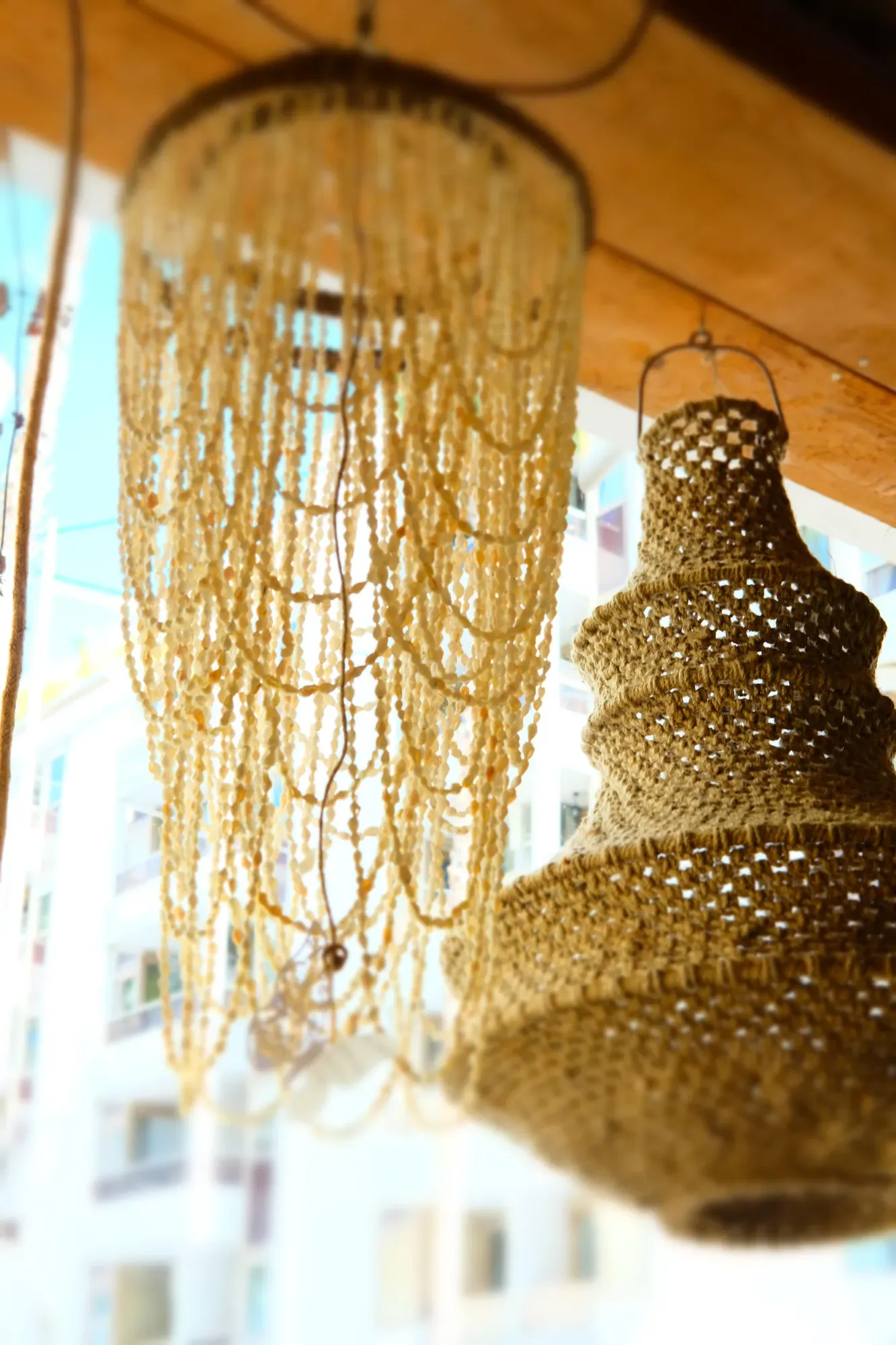 decoration interieur magnolia grandiflora antibes fleurs (8)-min