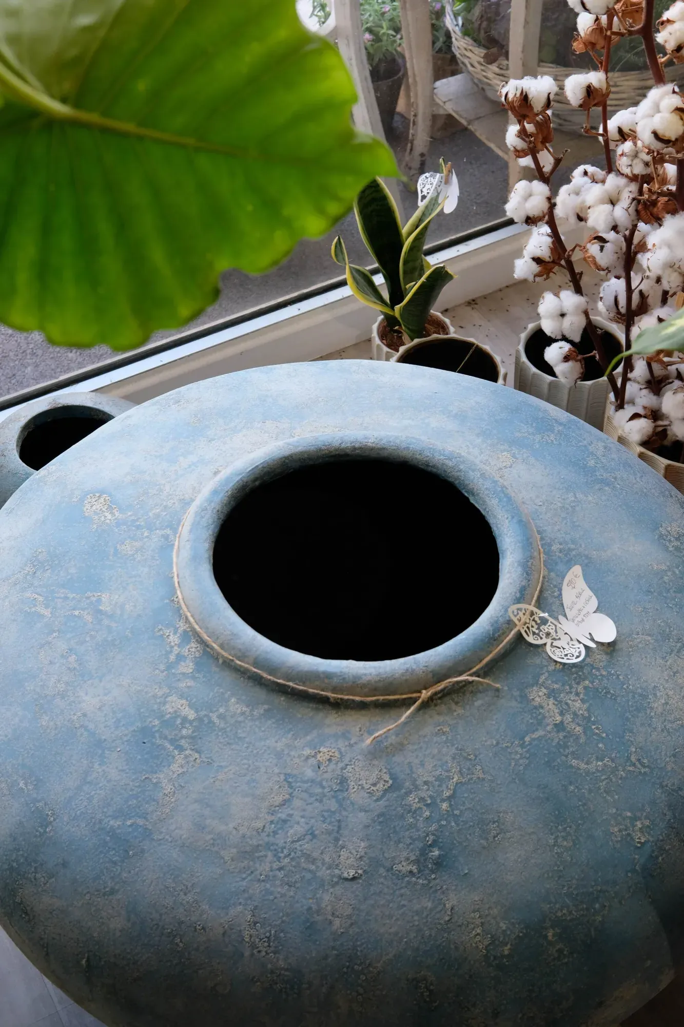 decoration interieur magnolia grandiflora antibes fleurs (10)-min