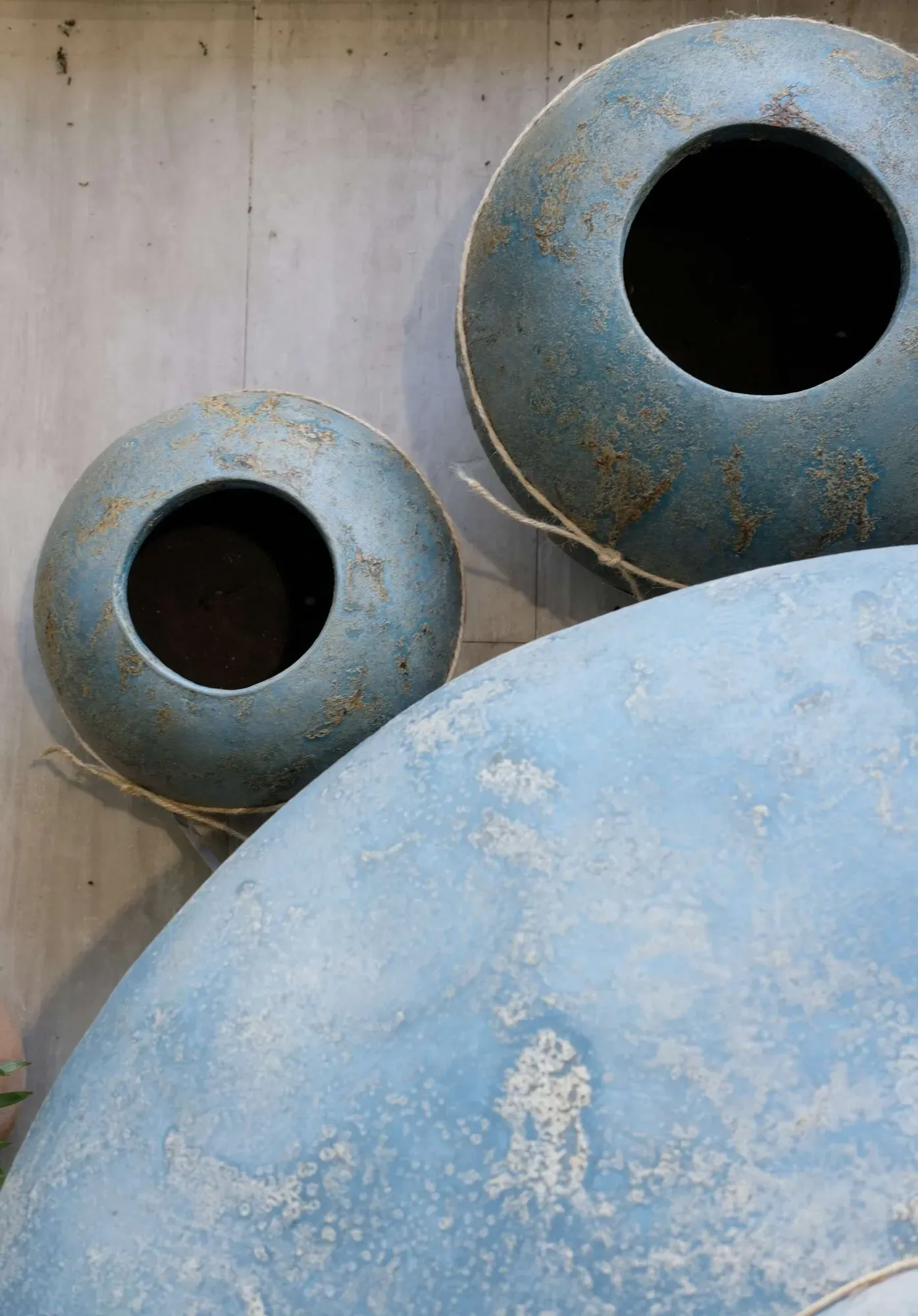 decoration interieur magnolia grandiflora antibes fleurs (11)-min