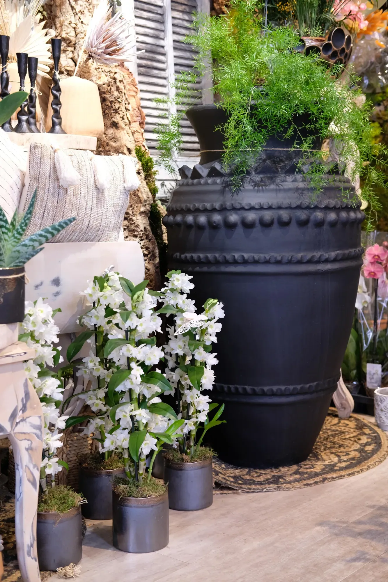 decoration interieur magnolia grandiflora antibes fleurs (12)-min