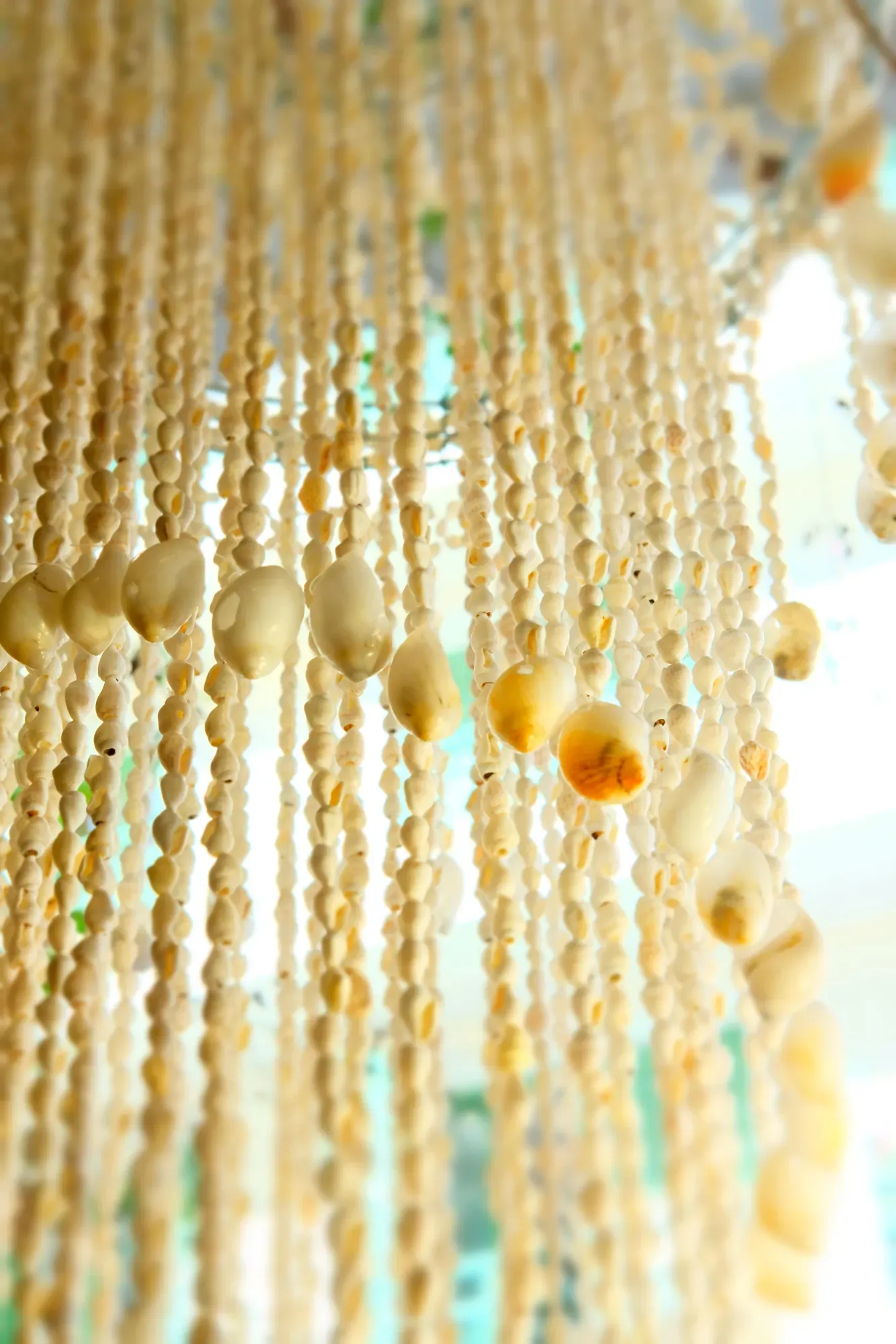 decoration interieur magnolia grandiflora antibes fleurs (13)-min