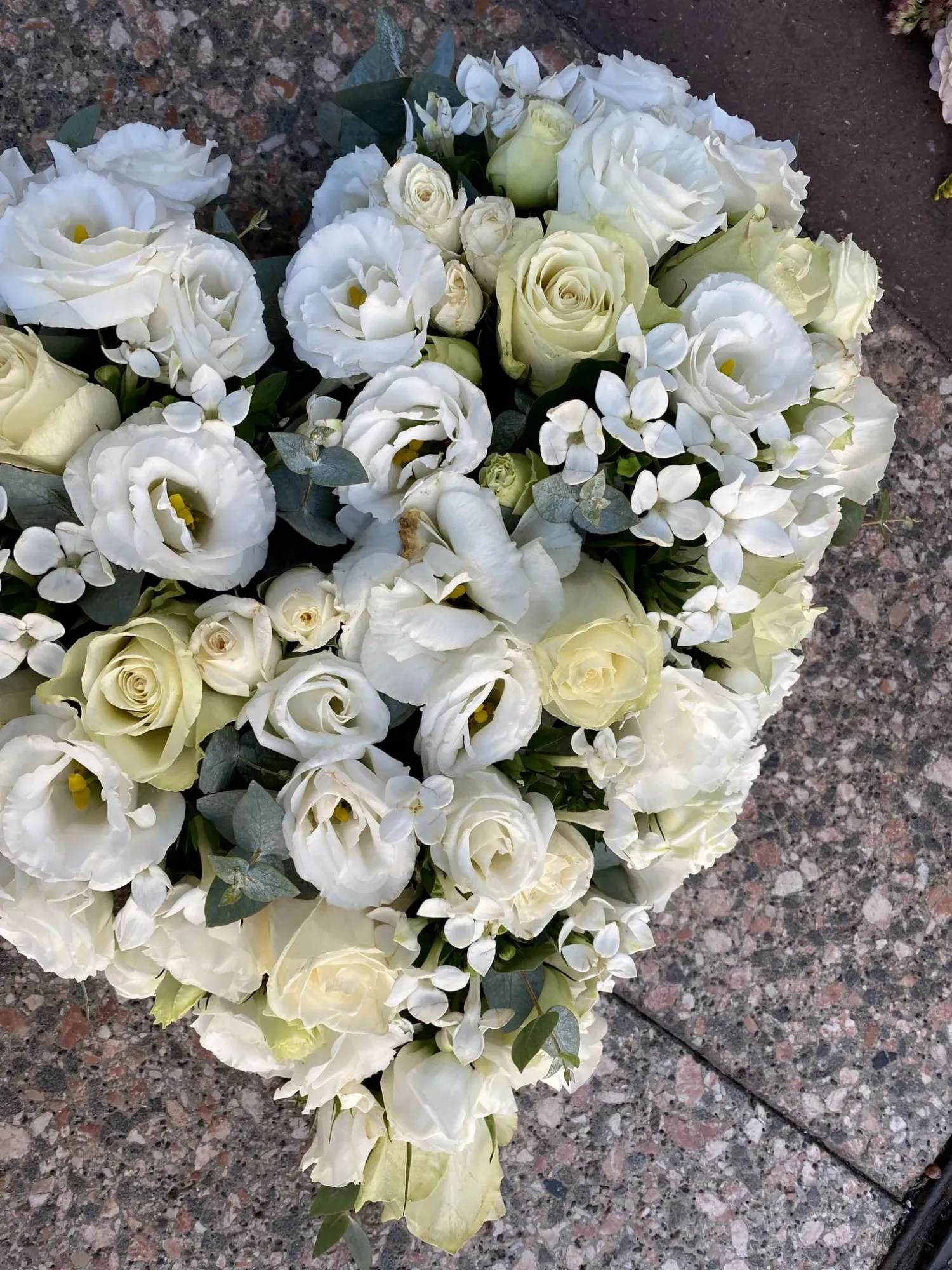 deuil-coeur-fleurs-magnolia-grandiflora-(1)-min