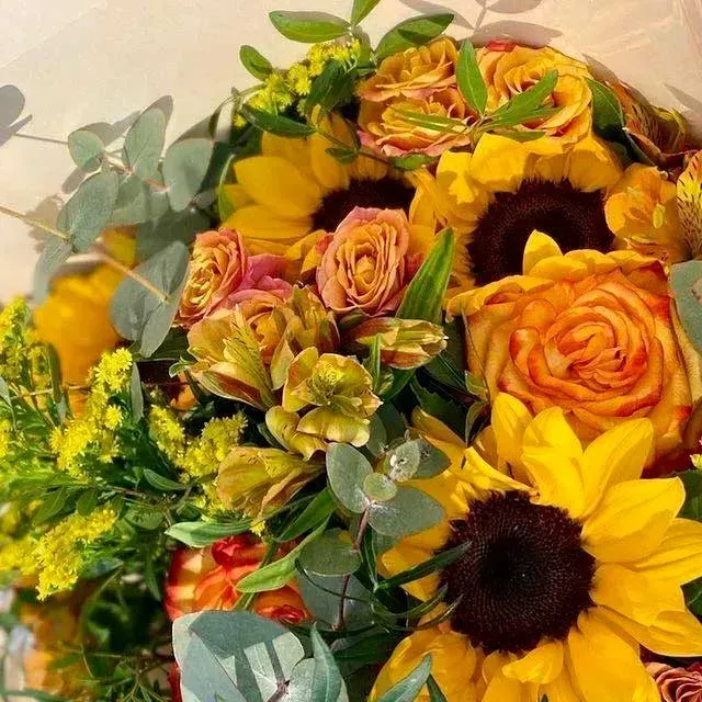 68a2e3698ab73_images_large